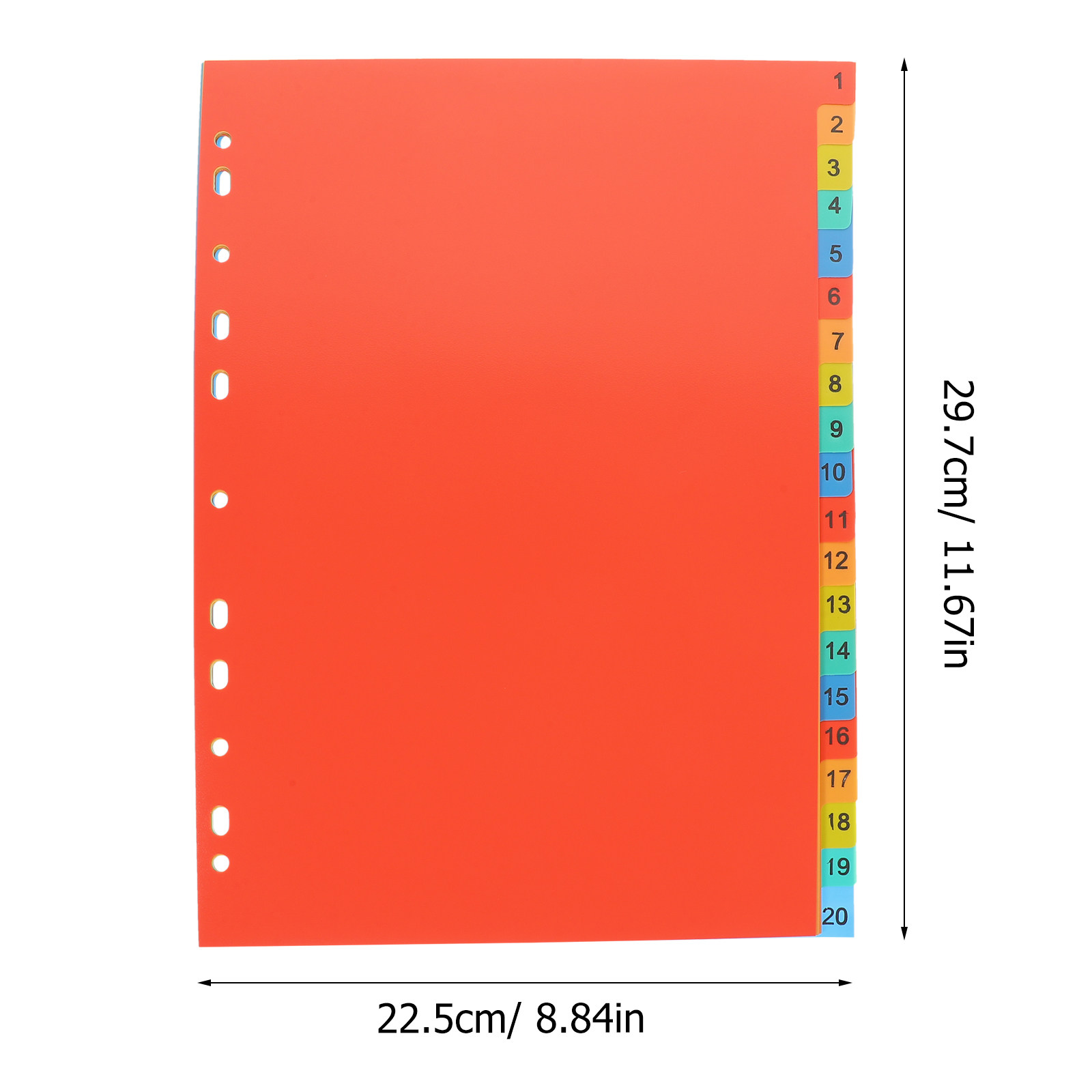 20 Adet A4 İndeks Bölücü Plast - Tab Divider A4 incelemesi ve fiyatı